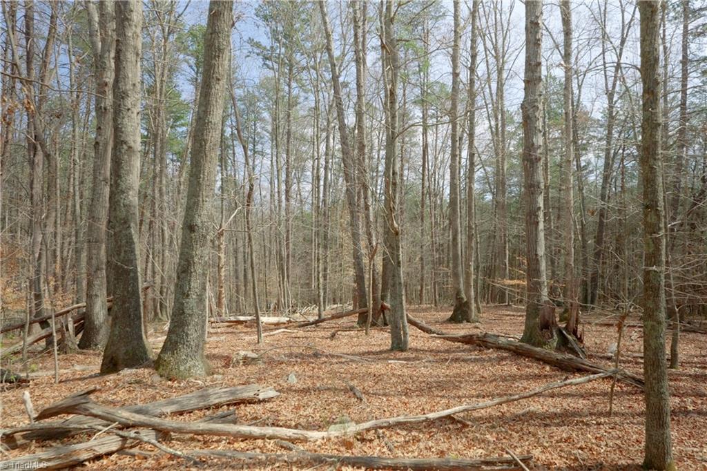 1019-3 George Road Westfield, NC 27053 - Photo 4 of 16