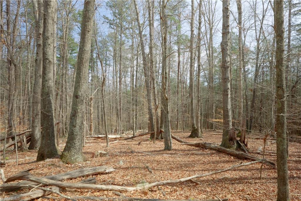 1019-3 George Road Westfield, NC 27053 - Photo 5 of 16
