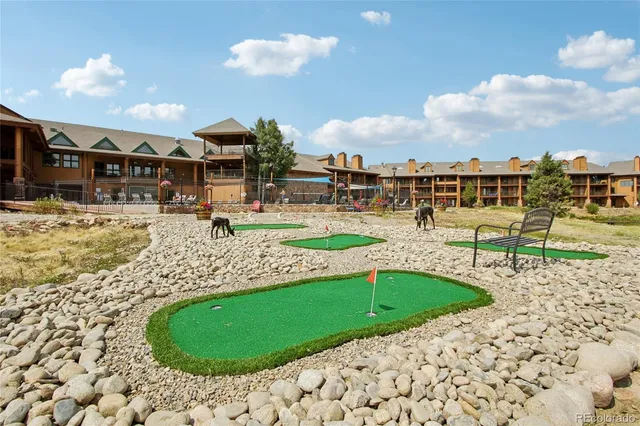 a view of a dry yard with wooden fence