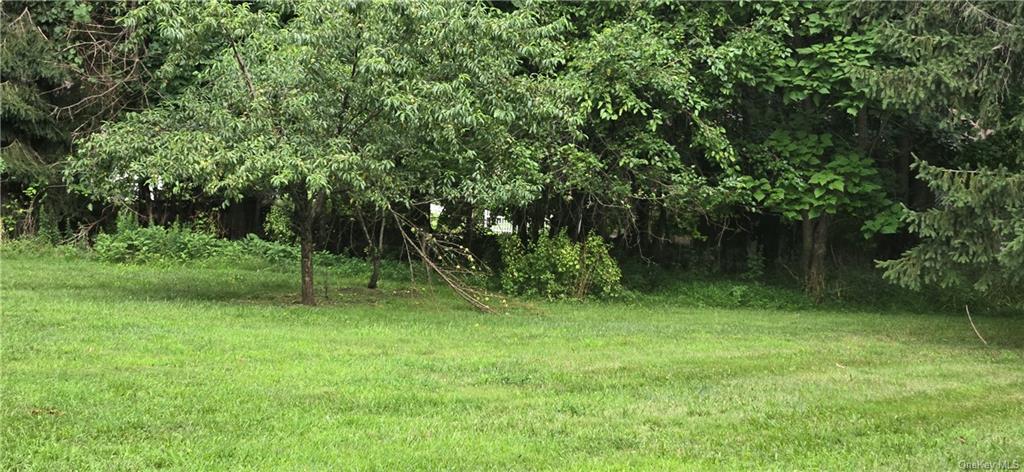 17 Old Mill Road Poughkeepsie, NY 12603 - Photo 7 of 23 a backyard of a house with lots of green space