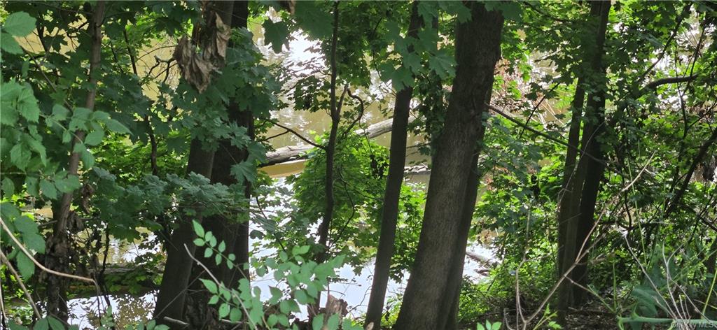 17 Old Mill Road Poughkeepsie, NY 12603 - Photo 9 of 23 a view of tree