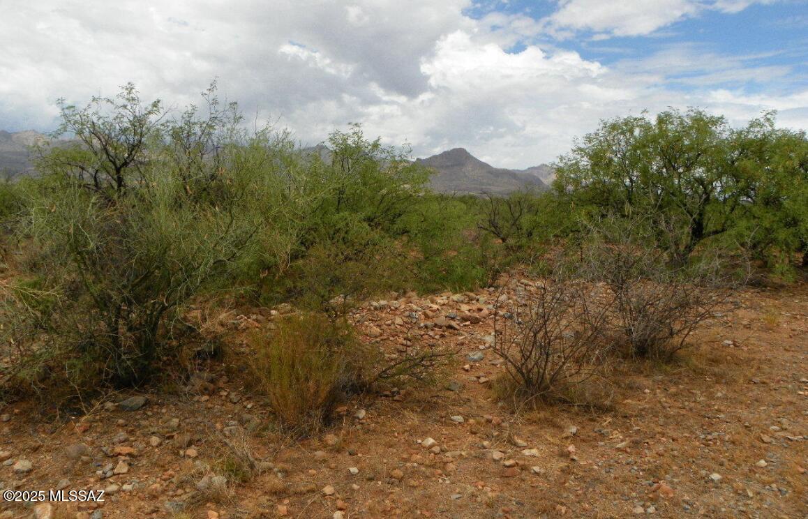 17 Calle Cuba Rio Rico, AZ 85648 - Photo 2 of 4 Gallery Image 2