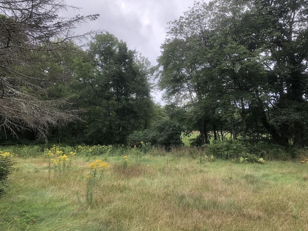 800 Washburn Road Barre, MA 01005 - Photo 6 of 15 a view of backyard with green space