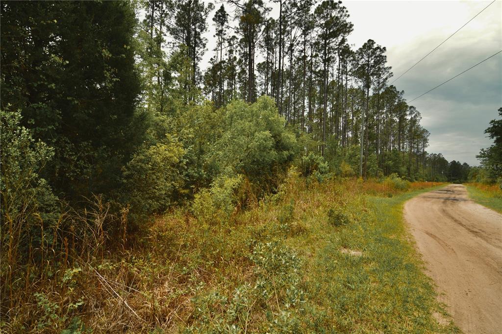 Sweet Gum Road Glen St. Mary, FL 32040 - Photo 6 of 44