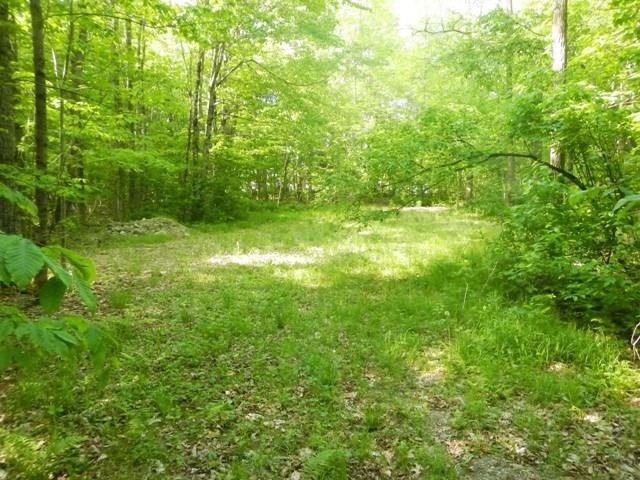 Lot 14 Stanhope Mill Road Lincoln, ME 04457 - Photo 4 of 15 Photo