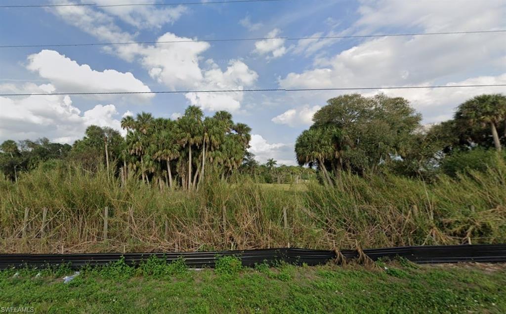 1 Southwest Arrowroot Road Indiantown, FL 34956 - Photo 5 of 8 View of local wilderness