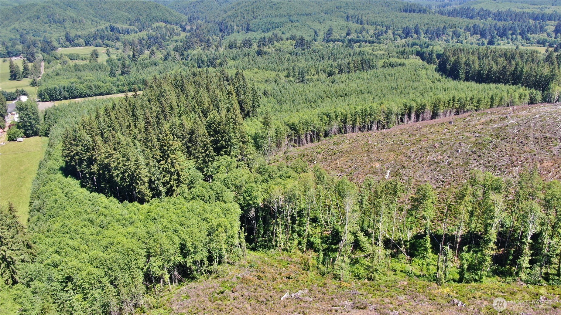 28-xx North River Road Cosmopolis, WA 98537 - Photo 10 of 10 Gallery Image 10