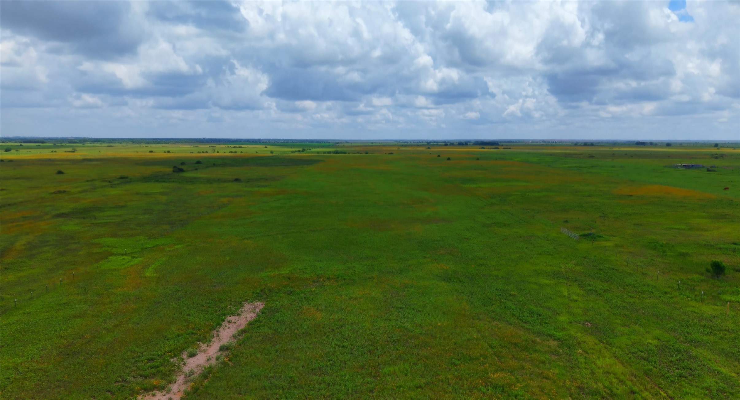 1087 Cr 141 Road Rock Island, TX 77470 - Photo 16 of 18
