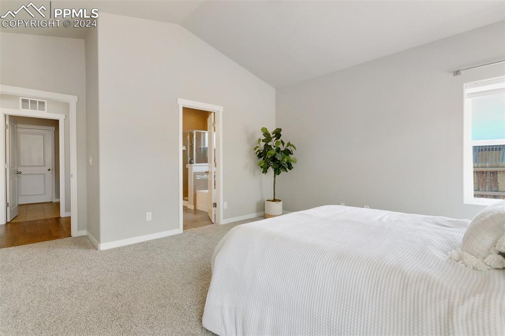10110 Henman Terrace Peyton, CO 80831 - Photo 14 of 36 a bedroom with a bed and a potted plant