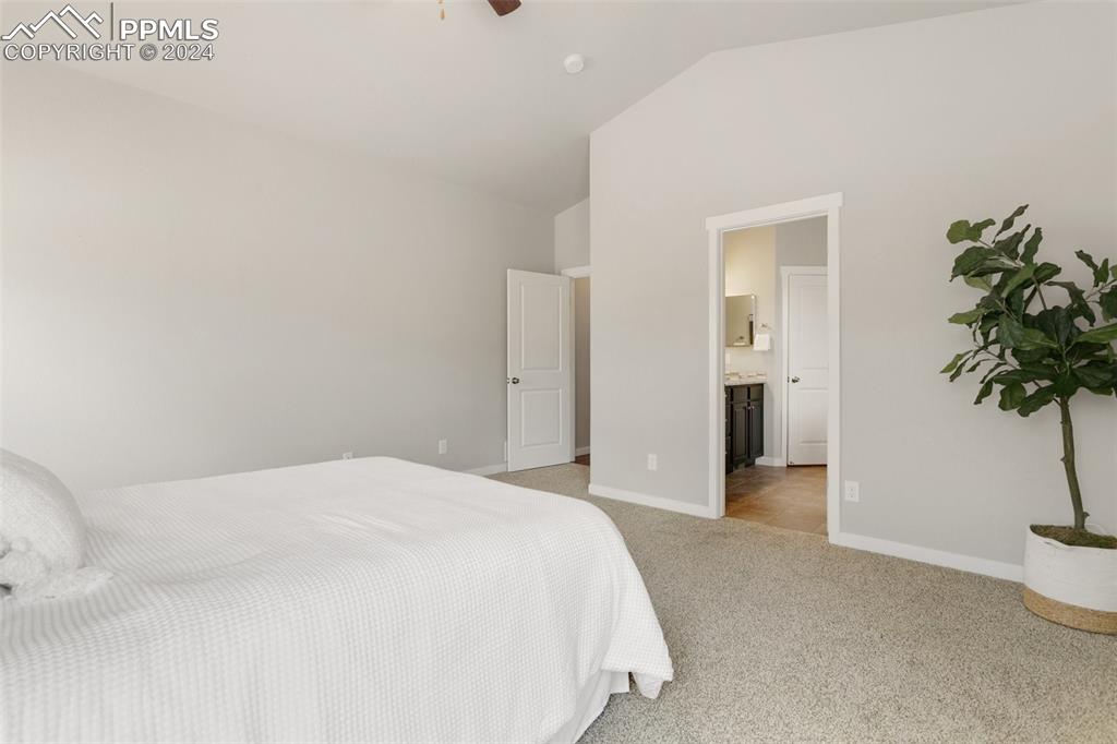 10110 Henman Terrace Peyton, CO 80831 - Photo 15 of 36 a bedroom with a bed and a potted plant