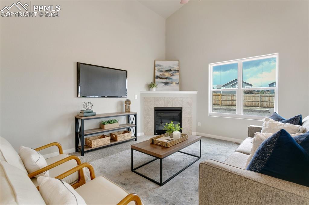 10110 Henman Terrace Peyton, CO 80831 - Photo 4 of 36 a living room with furniture a flat screen tv and a fireplace