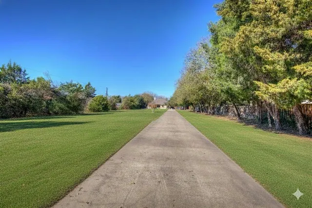 a view of a park with large trees