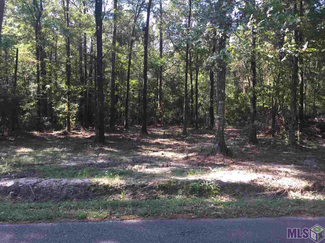 Tract D George White Road Springfield, LA 70462 - Photo 3 of 3