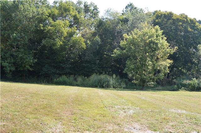 1735 Errel Dowlen Road Pleasant View, TN 37146 - Photo 10 of 10