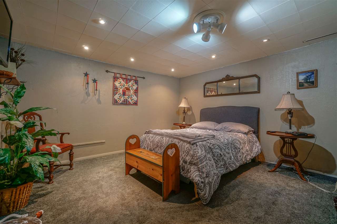 14588 Freeport Road Durand, IL 61024 - Photo 20 of 25 a spacious bedroom with a bed and a potted plant