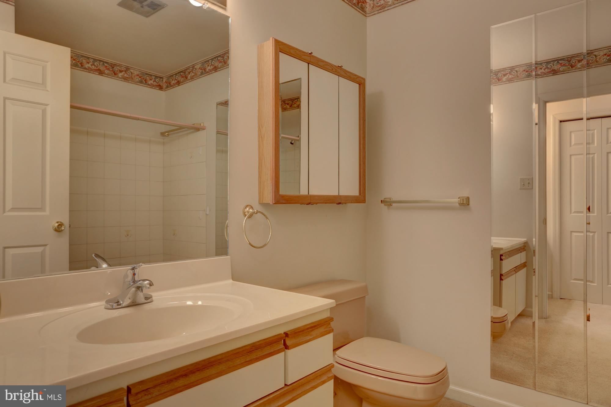 250 Wallingford Road Strasburg, PA 17579 - Photo 11 of 17 Master Bath