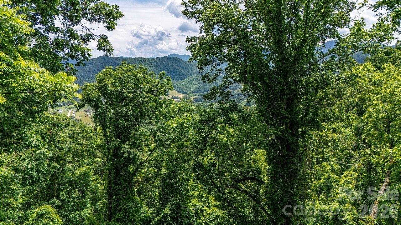 9999 Sandy Mush Creek Road Leicester, NC 28748 - Photo 5 of 9