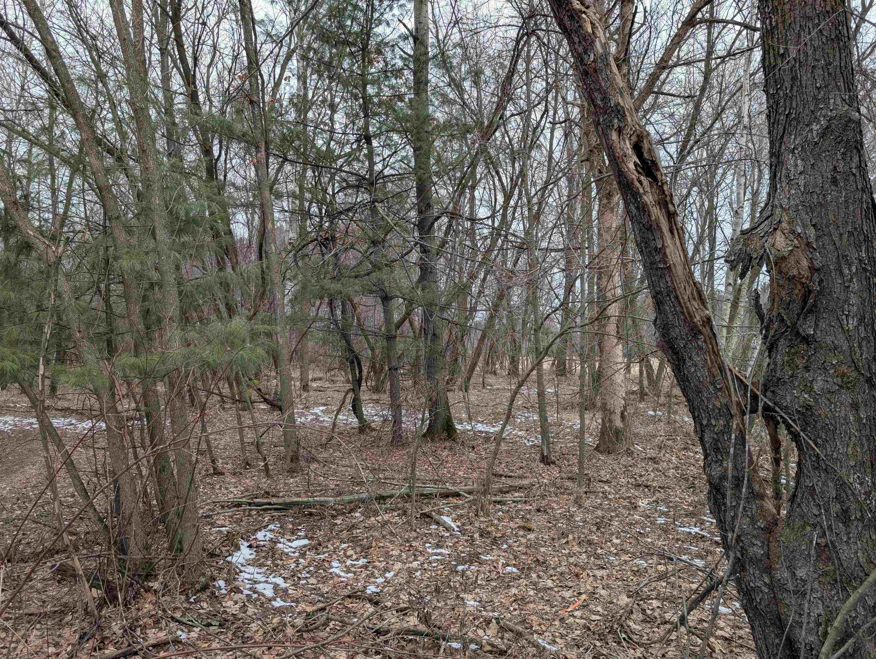 W2544 30th Road Weyauwega, WI 54983 - Photo 14 of 18