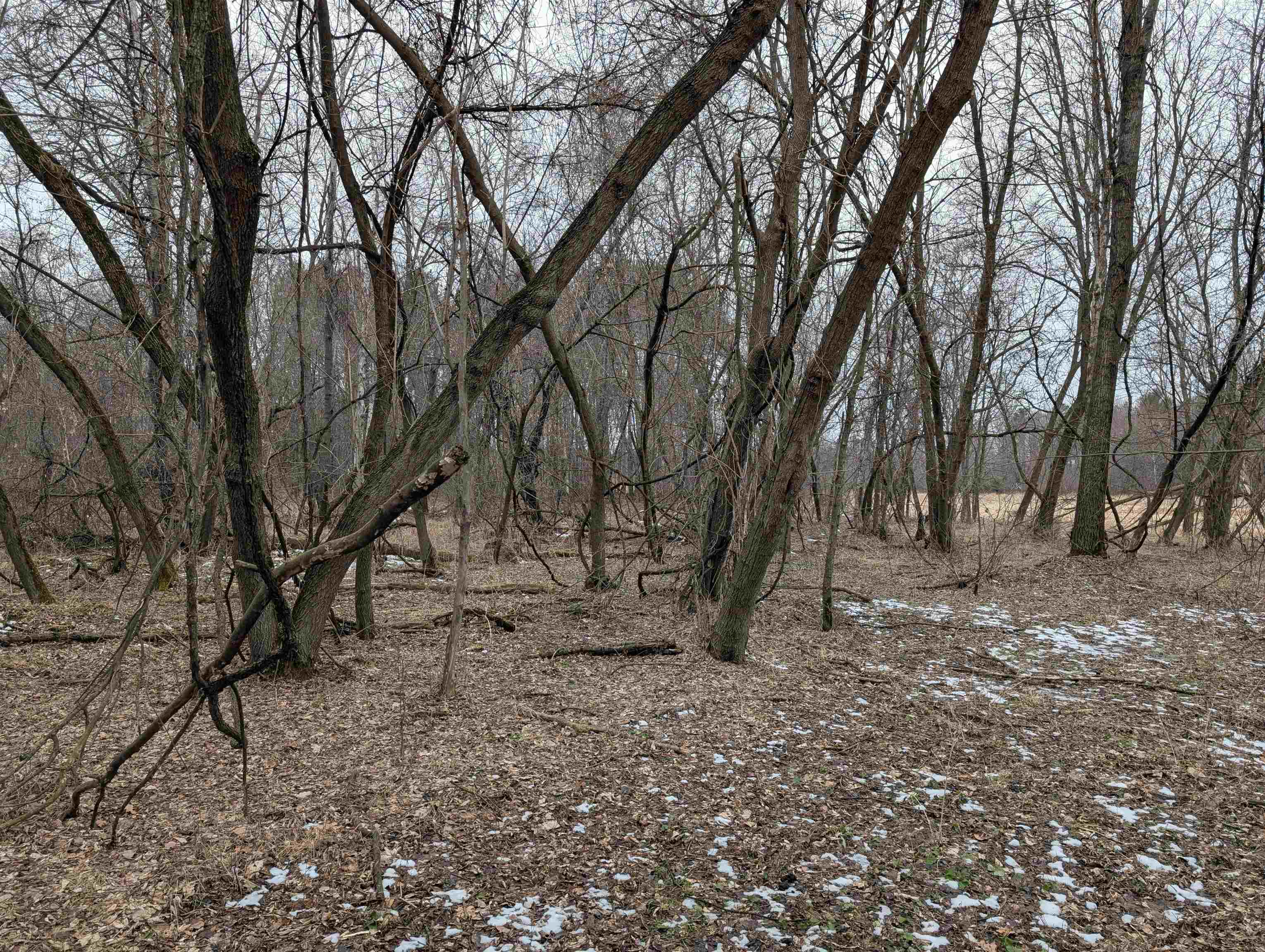 W2544 30th Road Weyauwega, WI 54983 - Photo 15 of 18