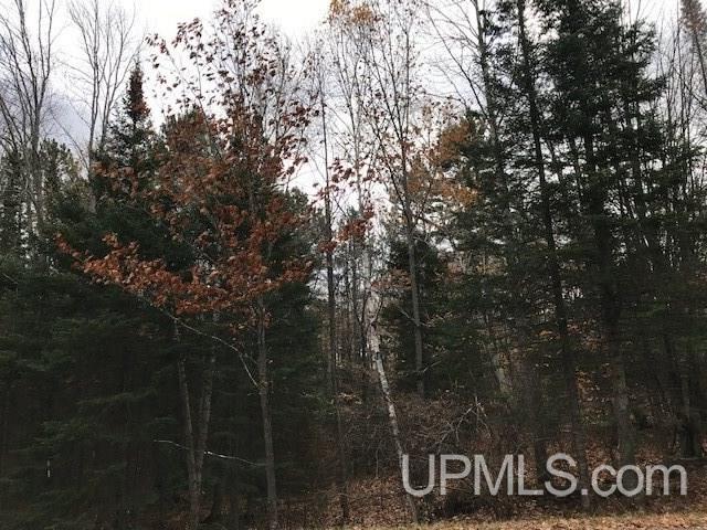 T-wi Wi 54121 Road Florence, WI 54121 - Photo 3 of 14