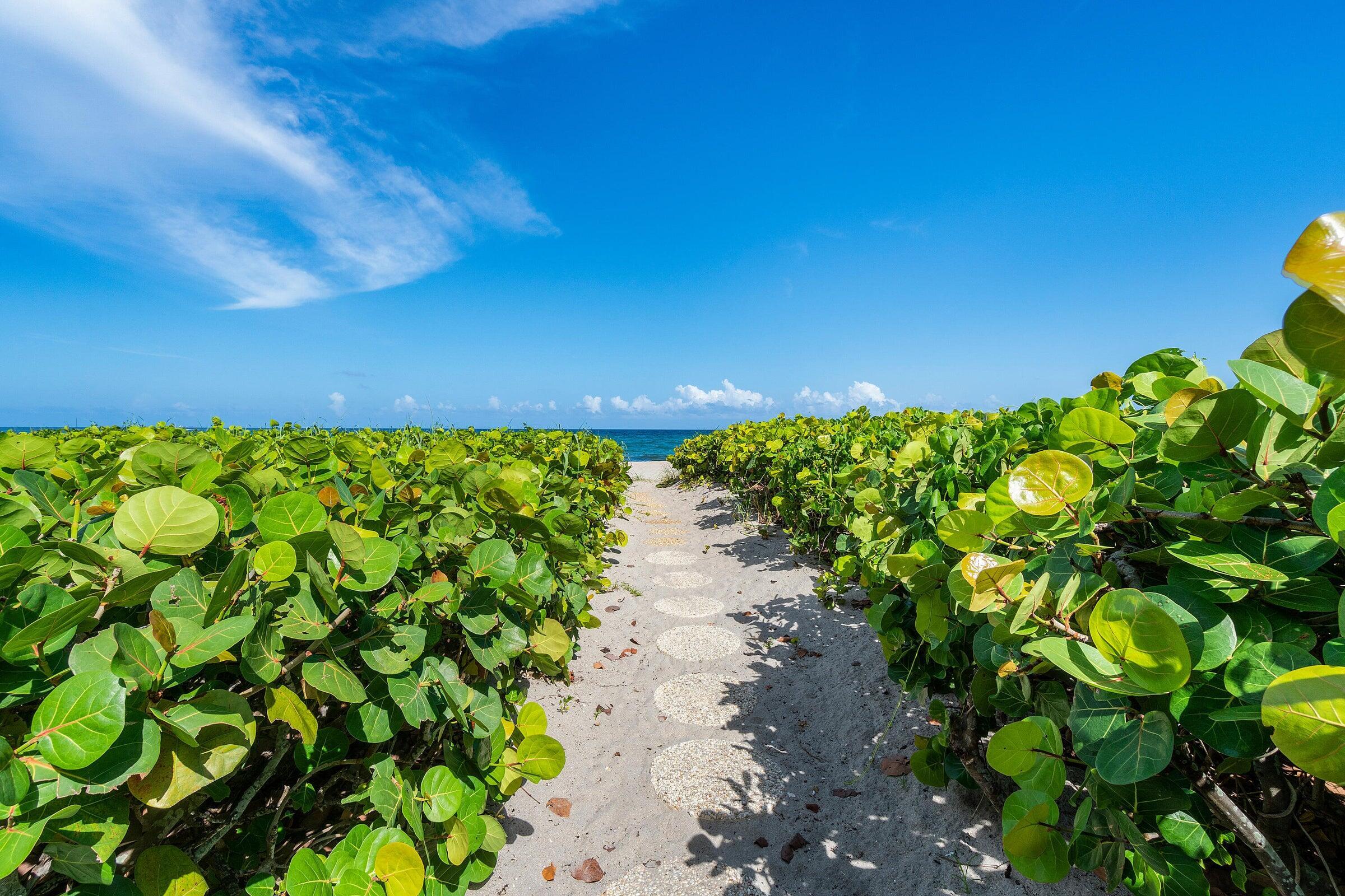 2575 South Ocean Boulevard, Unit 102S Highland Beach, FL 33487 - Photo 24 of 31 Beach Entry