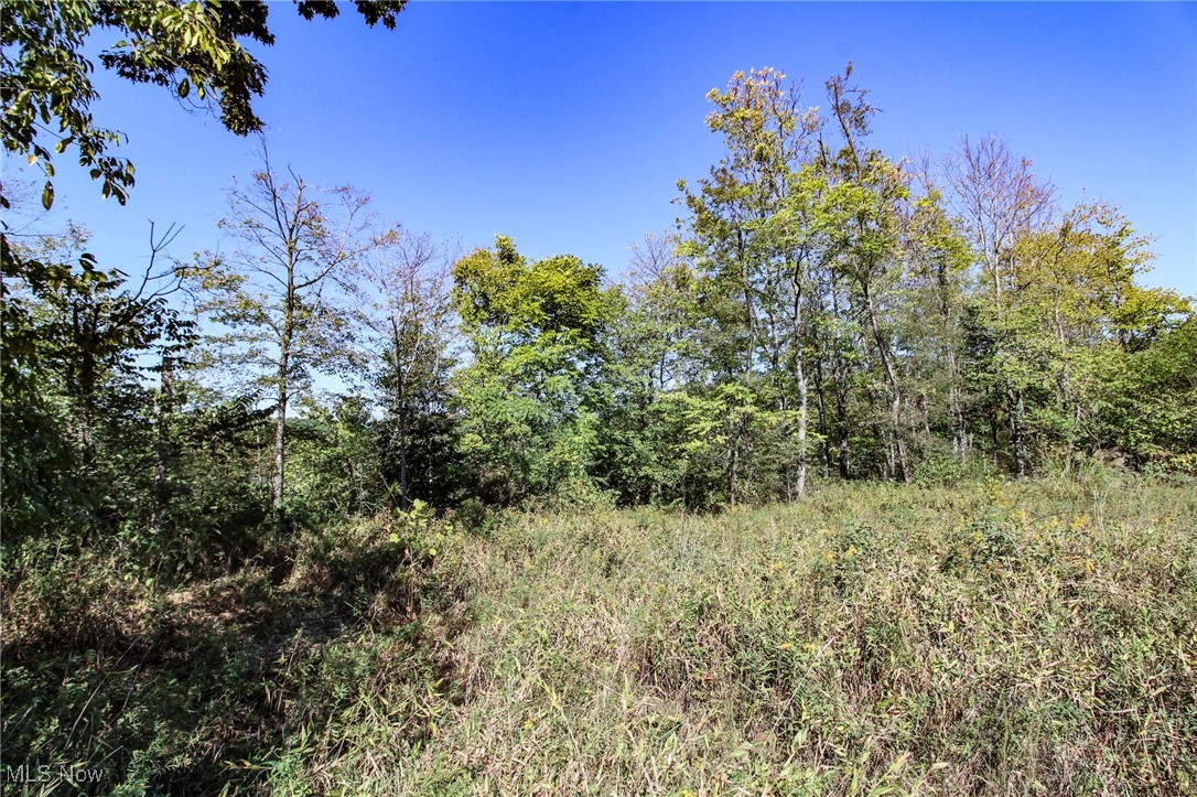 Lot 3 Moss Run Road Marietta, OH 45750 - Photo 4 of 14 View of nature
