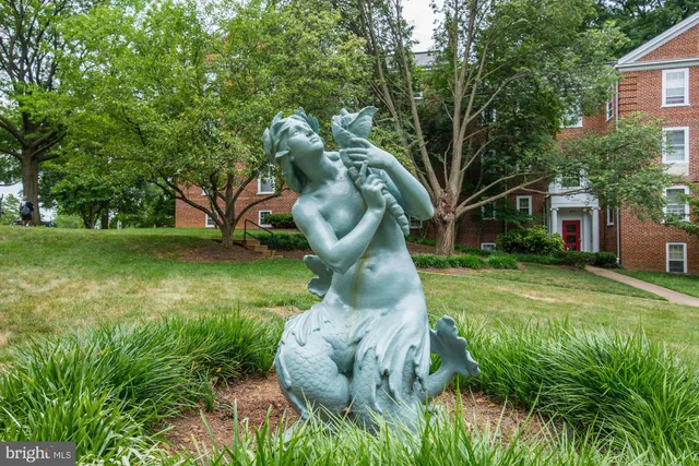 a view of a garden with plants