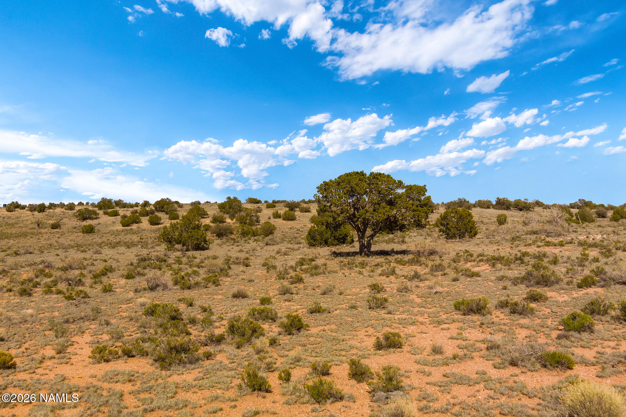 915 Pine Road Williams, AZ 86046 - Photo 21 of 33 MAX_0111