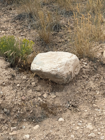 17 Old Dam Road, Unit 17 Levan, UT 84639 - Photo 4 of 7