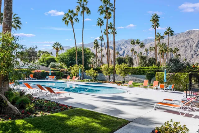 a view of a park with palm trees