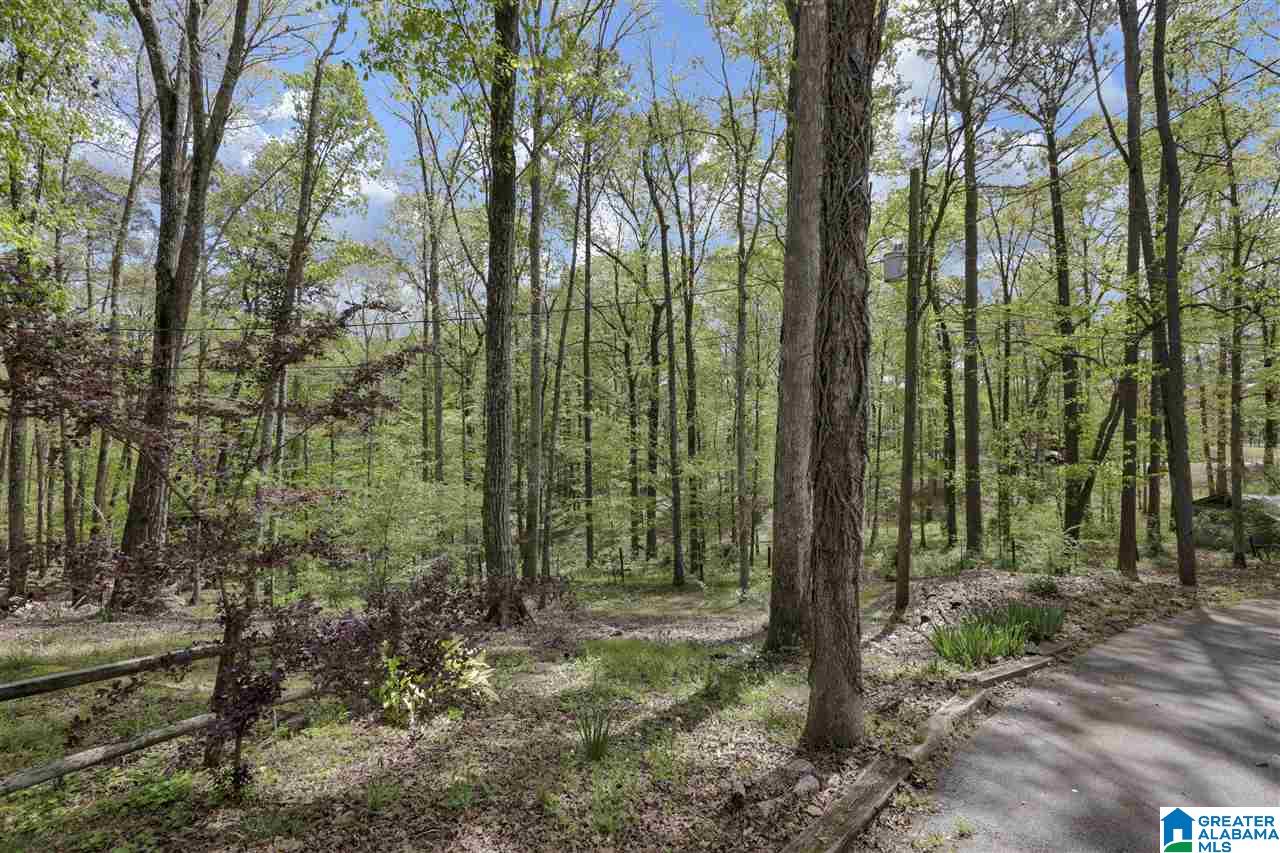 10630 Chelsea Road Chelsea, AL 35043 - Photo 41 of 42