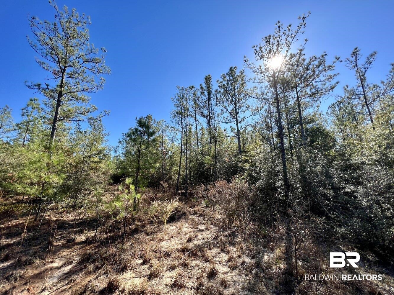 0 C C Road Chunchula, AL 36521 - Photo 8 of 27