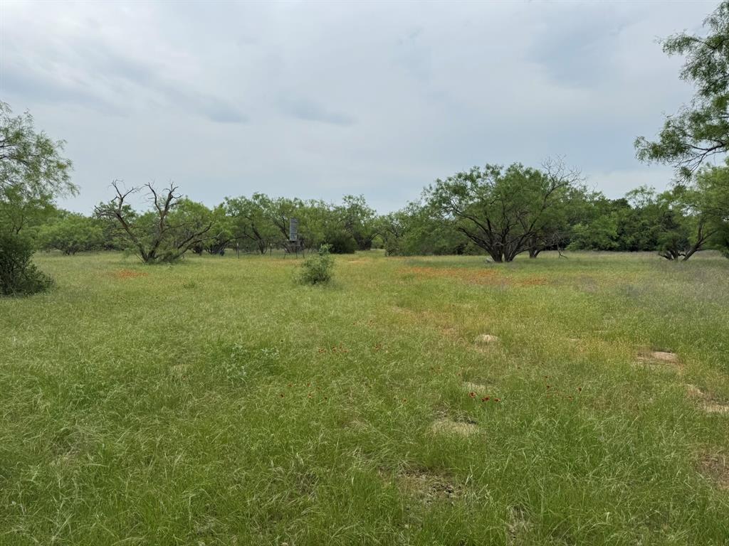 12550 County Road 136 Ranger, TX 76470 - Photo 10 of 19