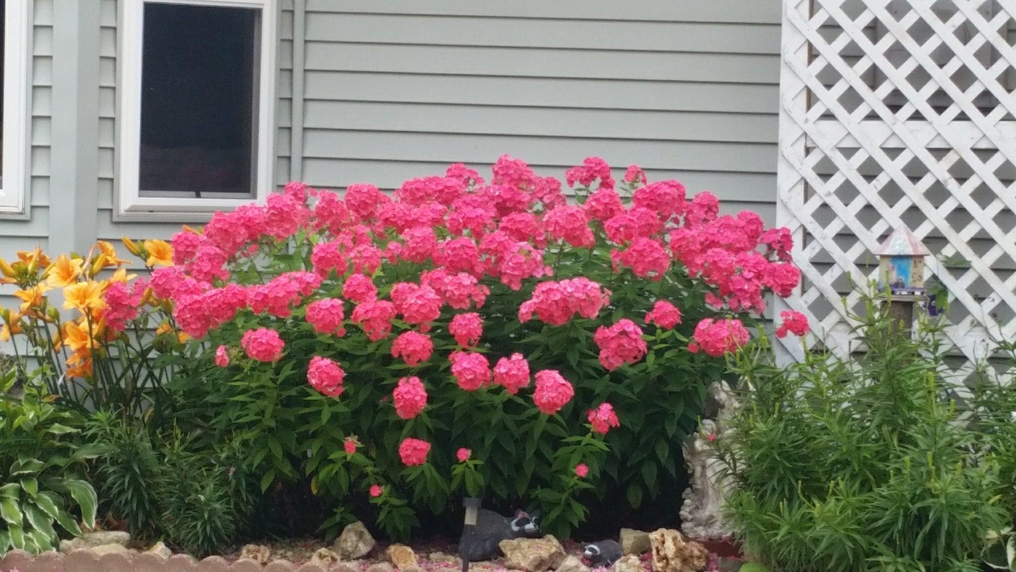 E3490 County Rd P Menomonie, WI 54751 - Photo 5 of 7