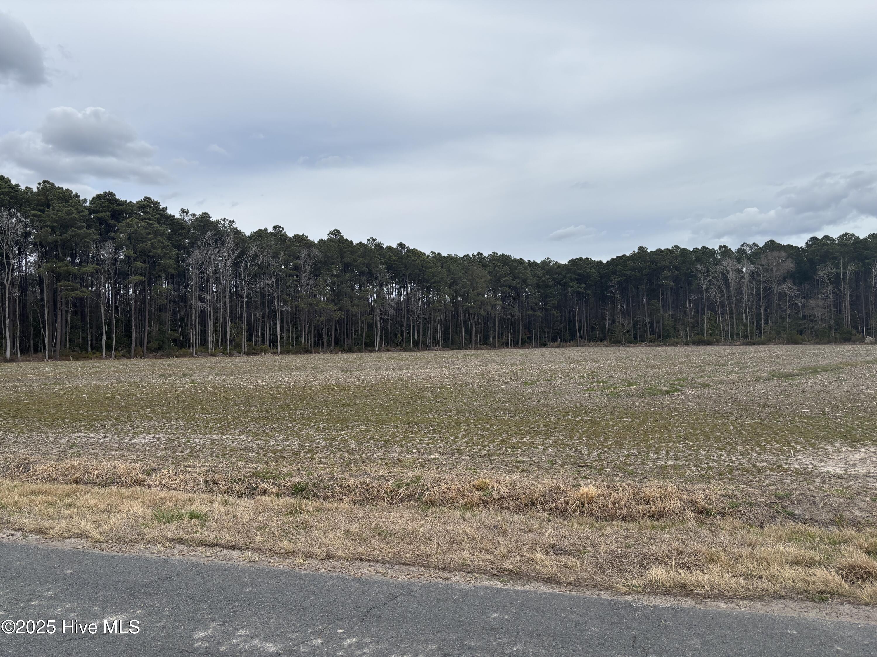 Tbd Florence Road Merritt, NC 28556 - Photo 5 of 17 IMG_0590