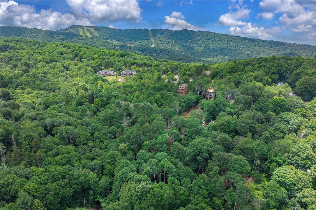 108 Windridge Road Beech Mountain, NC 28604 - Photo 49 of 49