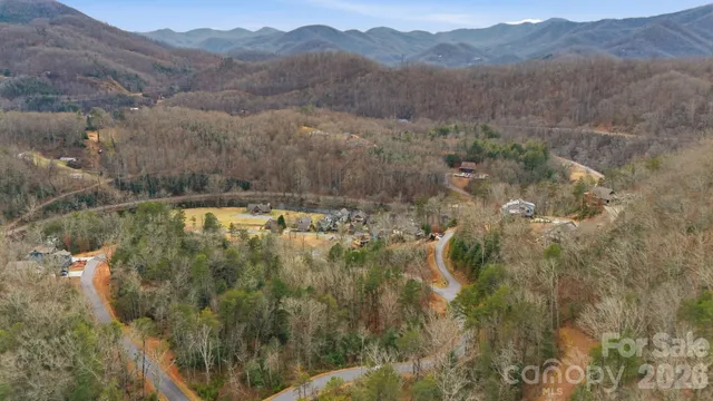 a view of a dry yard