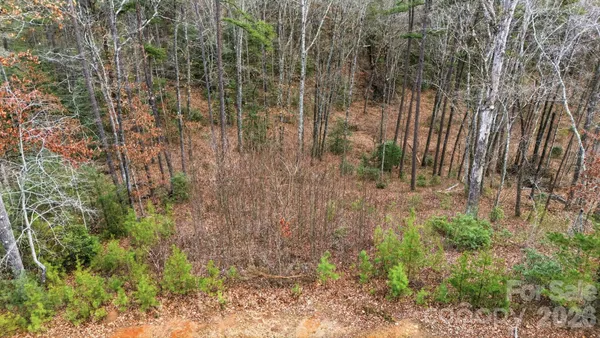 a close view of a shower in a bathroom