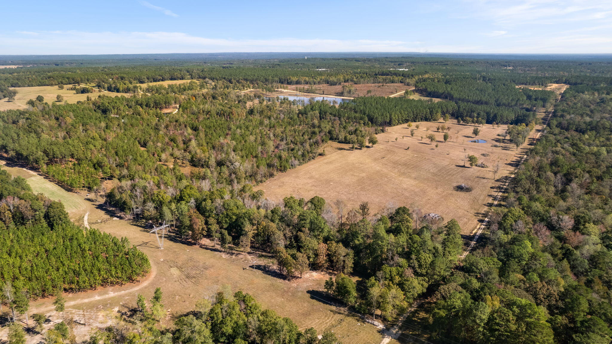 363 Rockhill To Lumberton Road Purvis, MS 39475 - Photo 3 of 71 Gallery Image 3
