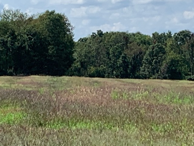 V/l Easton Road Rives Junction, MI 49277 - Photo 1 of 5 Photo 1