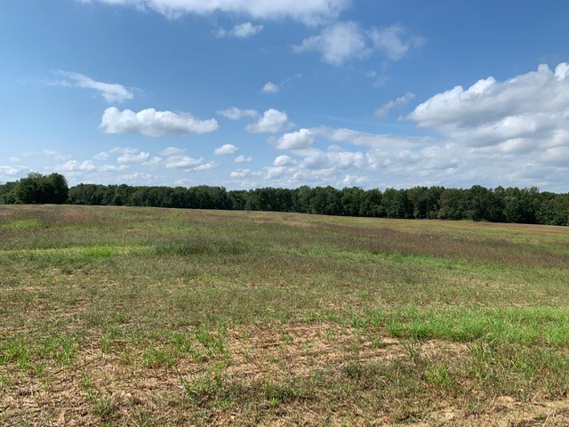 V/l Easton Road Rives Junction, MI 49277 - Photo 3 of 5 Photo 3