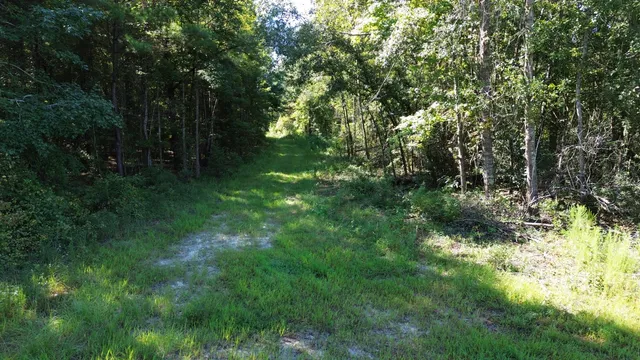 $1,200,000 | 0 Lowcountry Highway, Ruffin, SC 29475