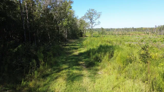 $1,200,000 | 0 Lowcountry Highway, Ruffin, SC 29475