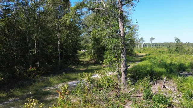 $1,200,000 | 0 Lowcountry Highway, Ruffin, SC 29475