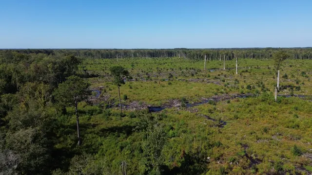 $1,200,000 | 0 Lowcountry Highway, Ruffin, SC 29475