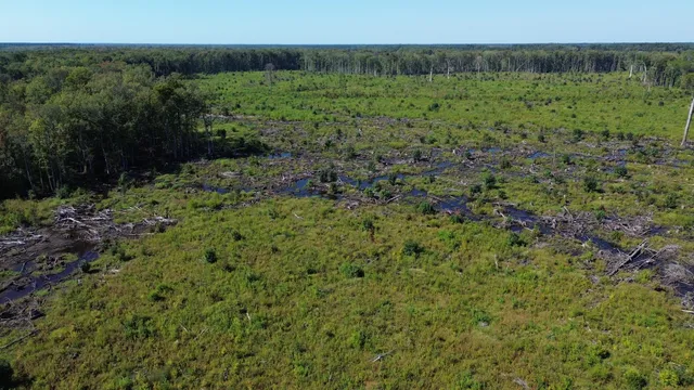 $1,200,000 | 0 Lowcountry Highway, Ruffin, SC 29475