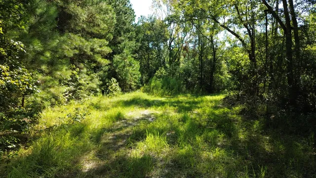 $1,200,000 | 0 Lowcountry Highway, Ruffin, SC 29475