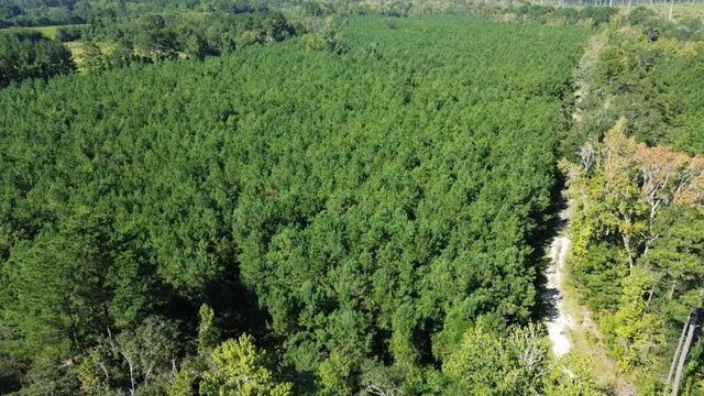 $1,200,000 | 0 Lowcountry Highway, Ruffin, SC 29475