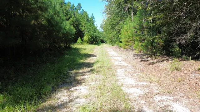 $1,200,000 | 0 Lowcountry Highway, Ruffin, SC 29475