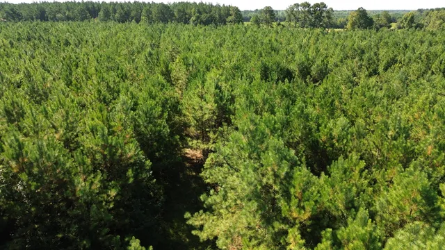 $1,200,000 | 0 Lowcountry Highway, Ruffin, SC 29475